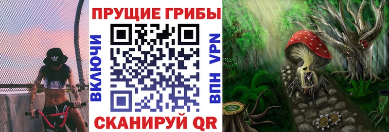 Купить где Новоалександровск Галлюциногенные грибы Psilocybe